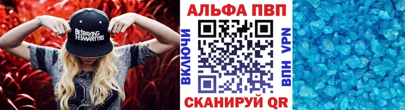 Альфа ПВП СК КРИС  Беслан 