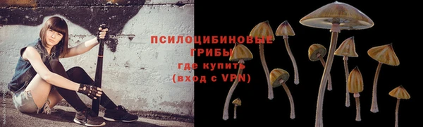 СК Богородск