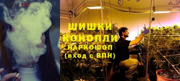 хмурый Богородицк