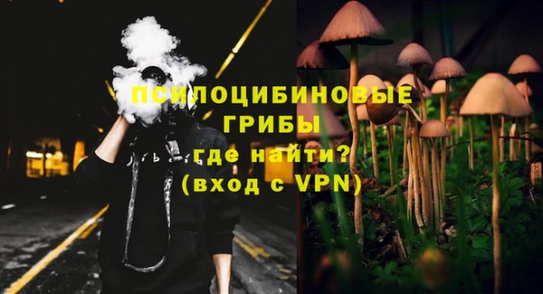 амфетамин Белокуриха