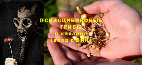 прущая мука Богданович